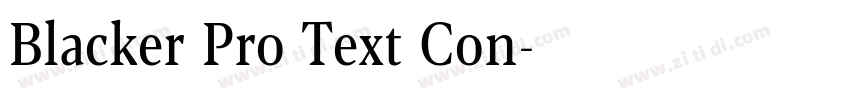 Blacker Pro Text Con字体转换